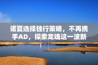 诺夏选择独行策略，不再携手AD，探索龙魂这一波新打法的挑战与机遇