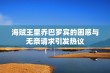 海贼王里乔巴罗宾的困惑与无奈请求引发热议