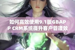 如何高效使用9.1版GBAPP CRM系统提升客户管理效果