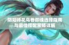 阴阳师花鸟卷御魂选择指南与最佳搭配策略详解