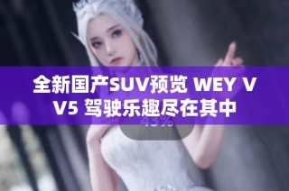 全新国产SUV预览 WEY VV5 驾驶乐趣尽在其中