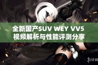 全新国产SUV WEY VV5 视频解析与性能评测分享