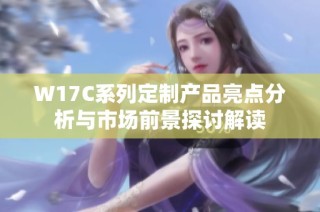 W17C系列定制产品亮点分析与市场前景探讨解读