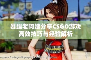 暴躁老阿姨分享CSGO游戏高效技巧与经验解析