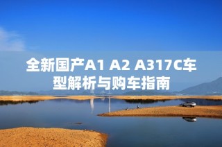 全新国产A1 A2 A317C车型解析与购车指南