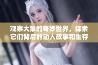 观察大象的奇妙世界，探索它们背后的动人故事和生存挑战