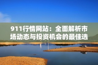 911行情网站：全面解析市场动态与投资机会的最佳选择