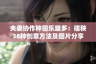 夫妻协作种田乐趣多：插秧38种创意方法及图片分享