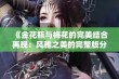 《金花瓶与梅花的完美结合再现：风雅之美的完整版分享》