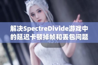 解决SpectreDivide游戏中的延迟卡顿掉帧和丢包问题指南