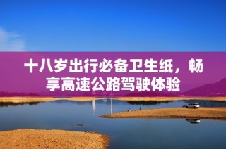 十八岁出行必备卫生纸，畅享高速公路驾驶体验