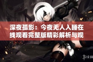 深夜孤影：今夜无人入睡在线观看完整版精彩解析与观后感