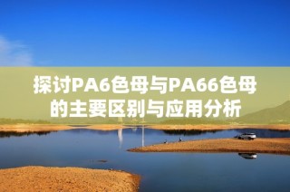 探讨PA6色母与PA66色母的主要区别与应用分析