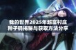 我的世界2025年超富村庄种子码揭秘与获取方法分享