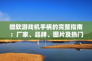 微软游戏机手柄的完整指南：厂家、品牌、图片及热门讨论汇总