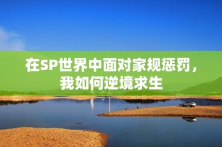 在SP世界中面对家规惩罚，我如何逆境求生