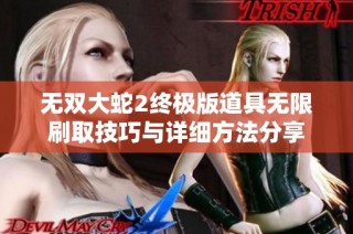 无双大蛇2终极版道具无限刷取技巧与详细方法分享