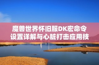 魔兽世界怀旧服DK宏命令设置详解与心脏打击应用技巧