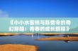 《小小水蜜桃与陈情令的奇幻穿越：青春的成长旅程》