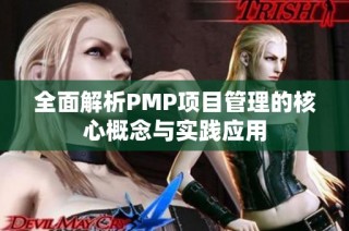 全面解析PMP项目管理的核心概念与实践应用