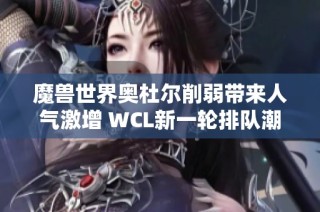 魔兽世界奥杜尔削弱带来人气激增 WCL新一轮排队潮来袭