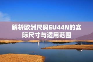 解析欧洲尺码EU44N的实际尺寸与适用范围