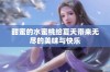 甜蜜的水蜜桃给夏天带来无尽的美味与快乐