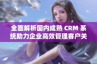 全面解析国内成熟 CRM 系统助力企业高效管理客户关系