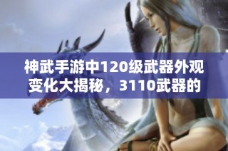 神武手游中120级武器外观变化大揭秘，3110武器的独特设计与玩家体验探讨