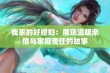 我家的好媳妇：展现温暖亲情与家庭责任的故事