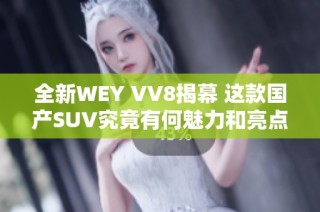 全新WEY VV8揭幕 这款国产SUV究竟有何魅力和亮点