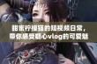 甜蜜柠檬猫的短视频日常，带你感受糖心vlog的可爱魅力