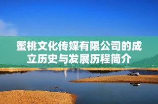 蜜桃文化传媒有限公司的成立历史与发展历程简介