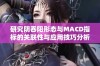 研究阴吞阳形态与MACD指标的关联性与应用技巧分析