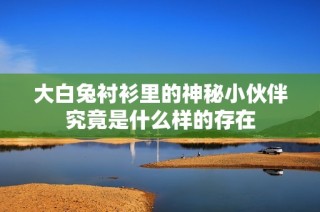 大白兔衬衫里的神秘小伙伴究竟是什么样的存在