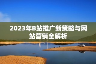 2023年B站推广新策略与网站营销全解析