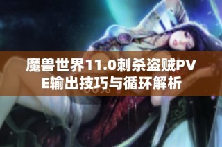 魔兽世界11.0刺杀盗贼PVE输出技巧与循环解析