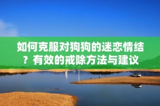 如何克服对狗狗的迷恋情结？有效的戒除方法与建议