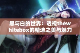 黑与白的世界：透视thewhitebox的精选之美与魅力