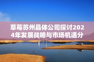 草莓苏州晶体公司探讨2024年发展战略与市场机遇分析