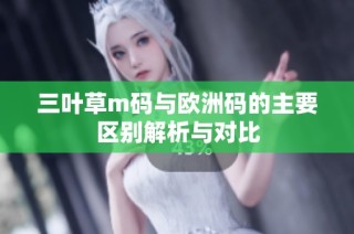 三叶草m码与欧洲码的主要区别解析与对比