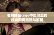 老阿姨在csgo中怒怒怒的经典瞬间回顾与解析