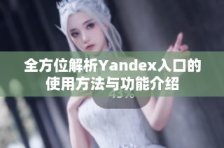 全方位解析Yandex入口的使用方法与功能介绍