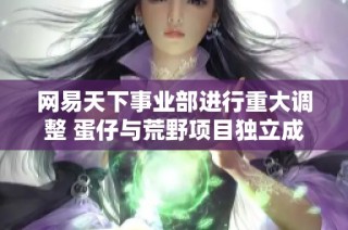 网易天下事业部进行重大调整 蛋仔与荒野项目独立成军全新起航