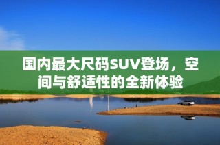 国内最大尺码SUV登场，空间与舒适性的全新体验