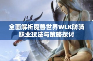 全面解析魔兽世界WLK防骑职业玩法与策略探讨