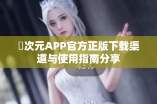 囧次元APP官方正版下载渠道与使用指南分享