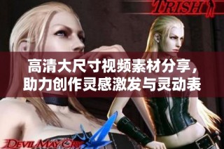 高清大尺寸视频素材分享，助力创作灵感激发与灵动表现