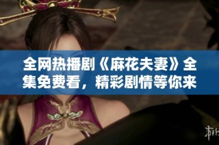 全网热播剧《麻花夫妻》全集免费看，精彩剧情等你来欣赏