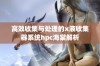 高效收集与处理的x液收集器系统hpc海棠解析